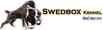 Swedbox