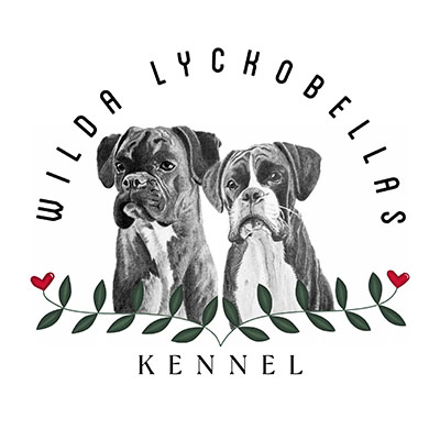 Kennel Wilda LyckoBellas